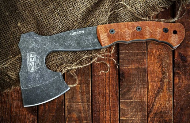 ESEE-Feature-620x400.jpg