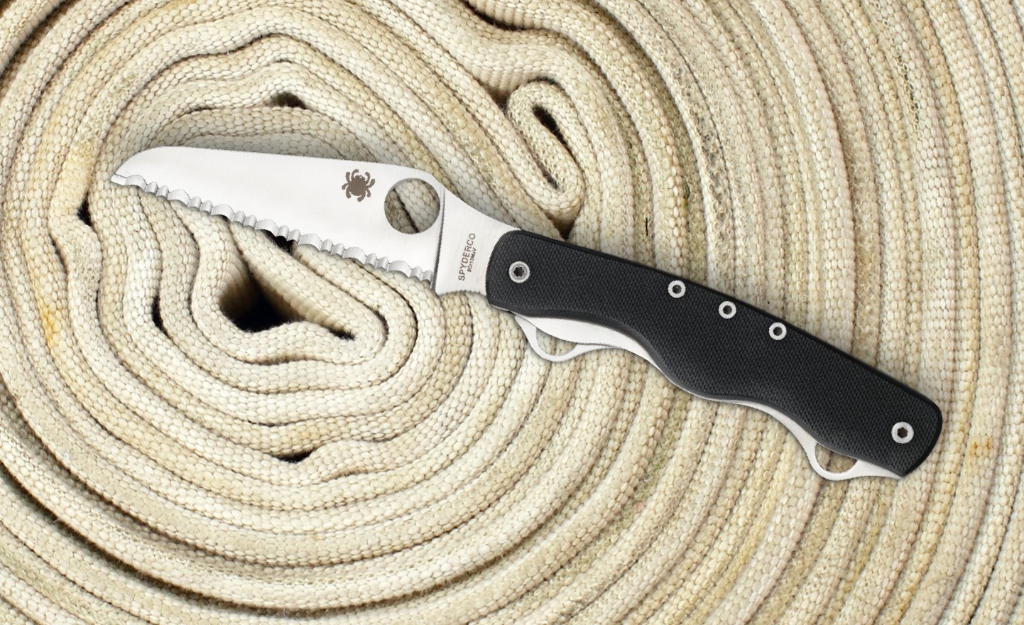 A dozen knives in the back of the dictatorship A dozen knives in the back of the dictatorship